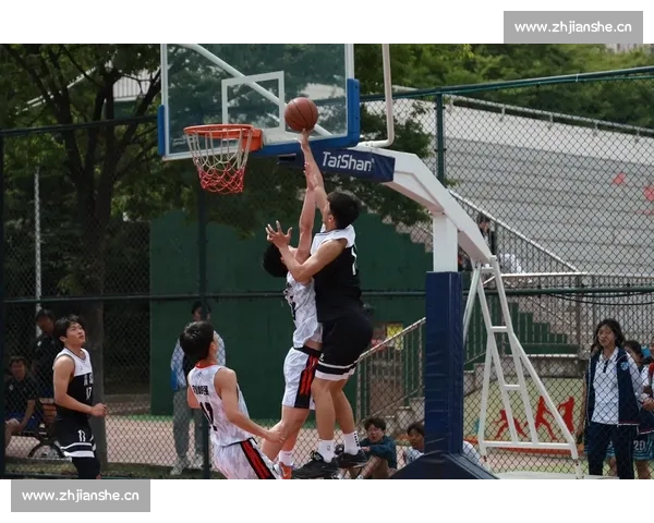 篮球比赛免费版全网高清直播精彩赛事实时观看指南平台推荐与使用攻略